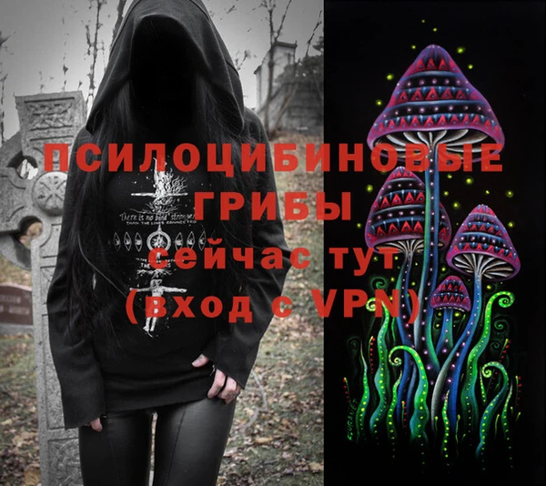 амф Абинск