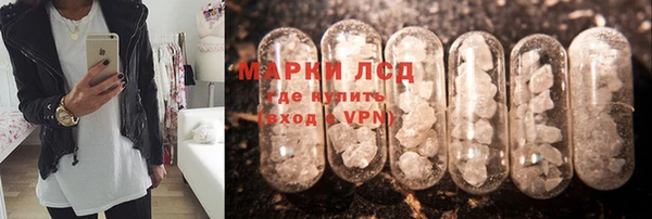 амф Абинск